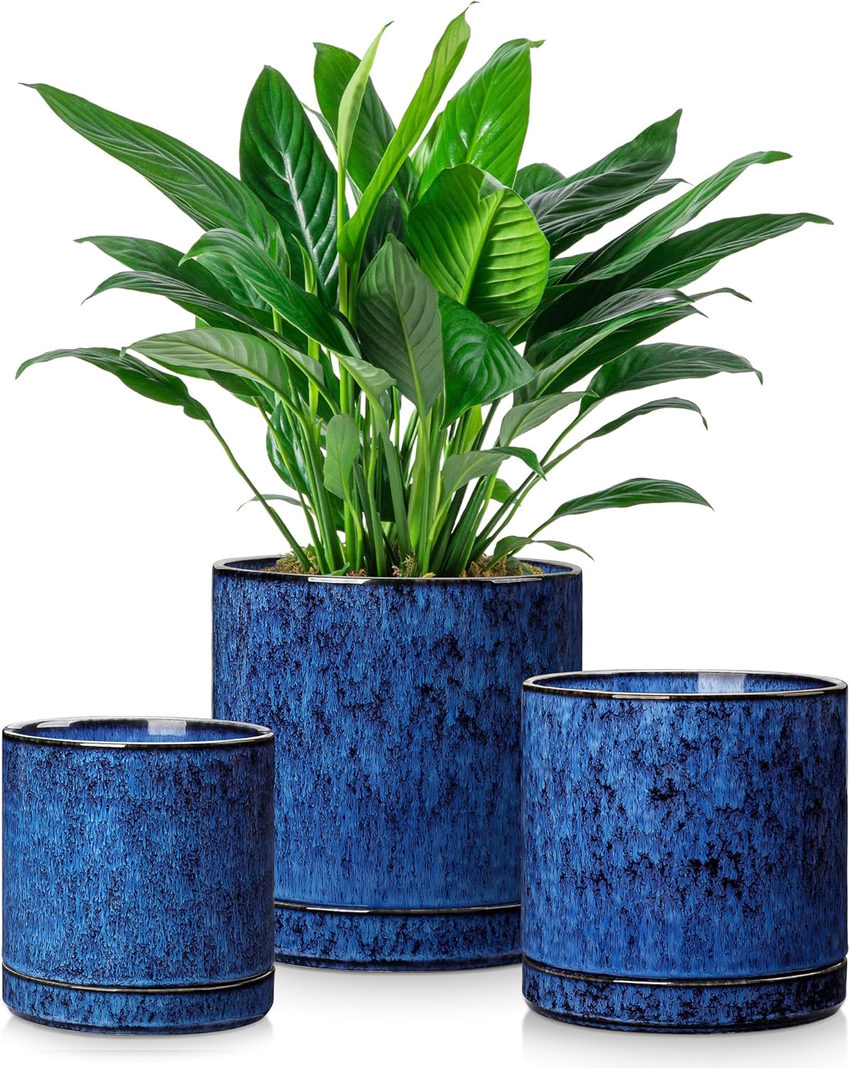Snake Plant Ceramic - 3-Piece Ceramic Plant Pots with Drainage,