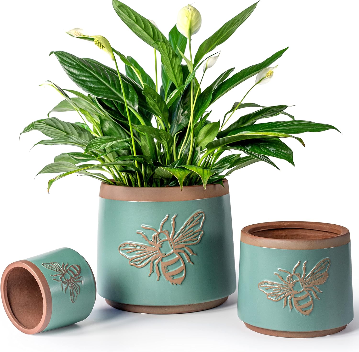 Snake Plant Ceramic - Terracotta Pots with Drainage Holes, Ceramic