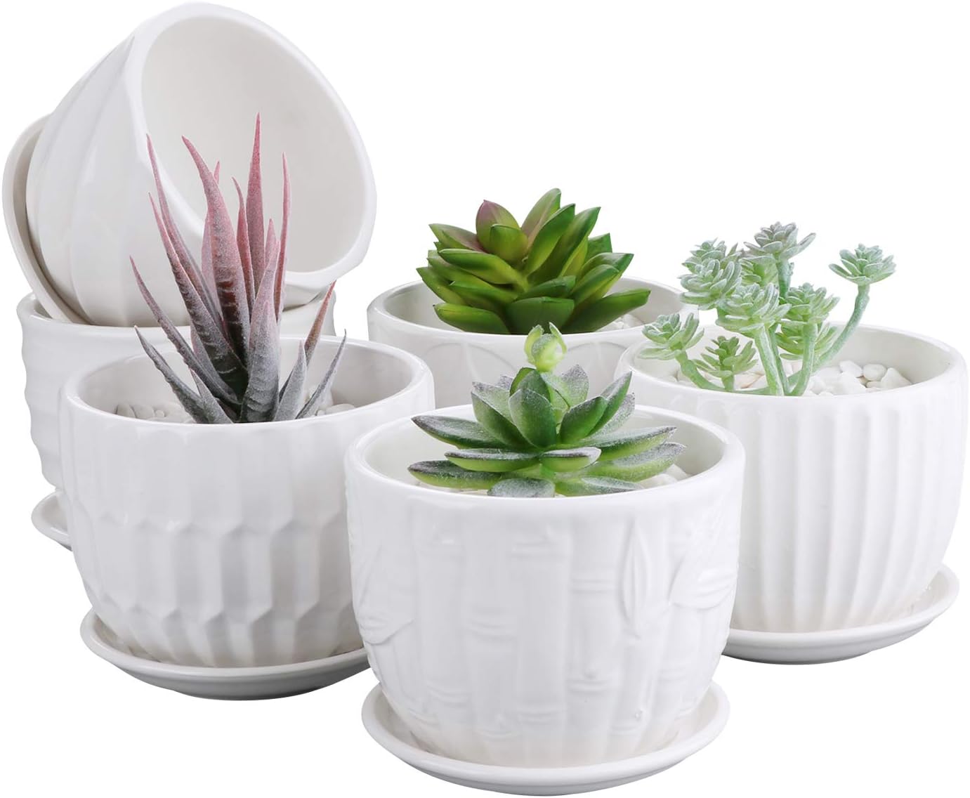 Snake Plant Ceramic - Flower Pots, 4 Inch Cylinder Ceramic