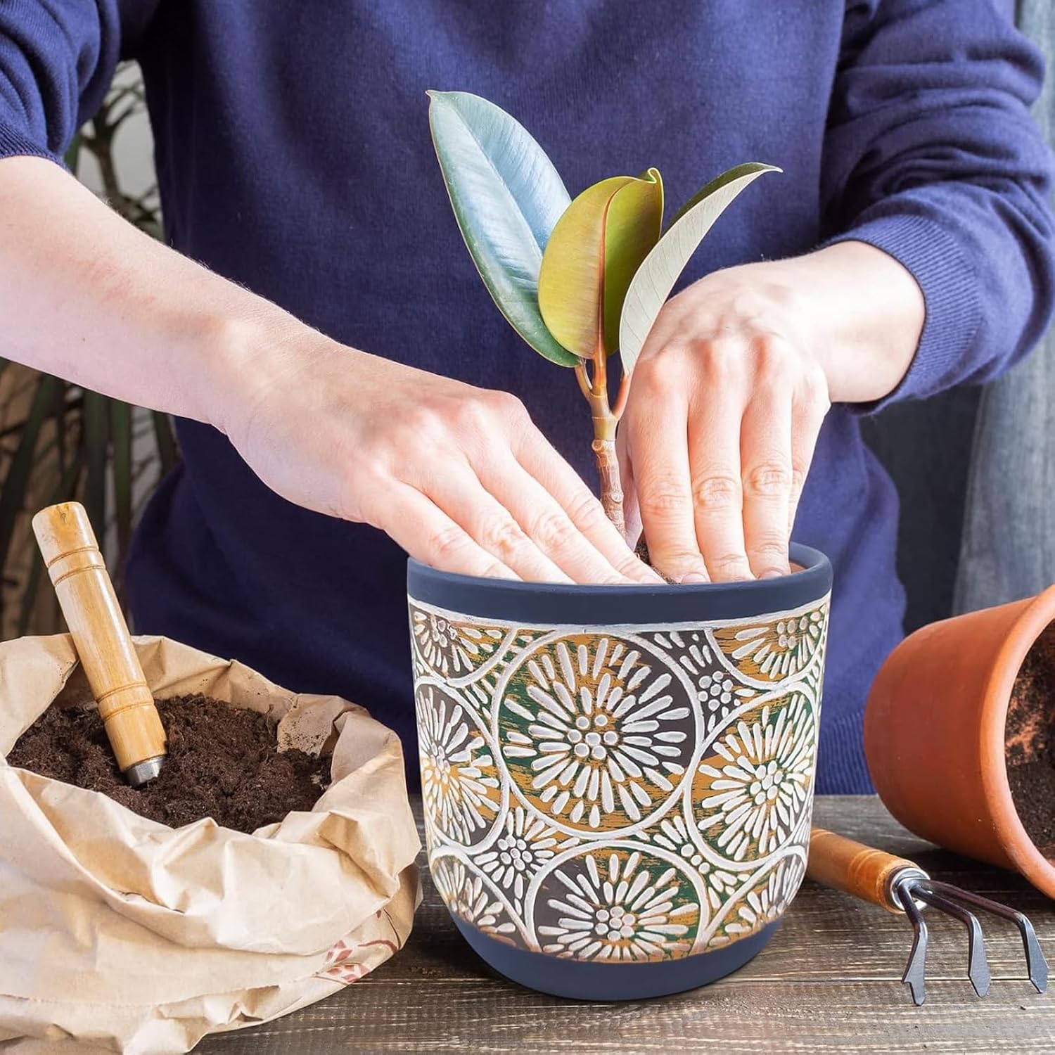 3 Piece Ceramic Plant Pots Ind - Snake Plant Ceramic recensione e prezzo