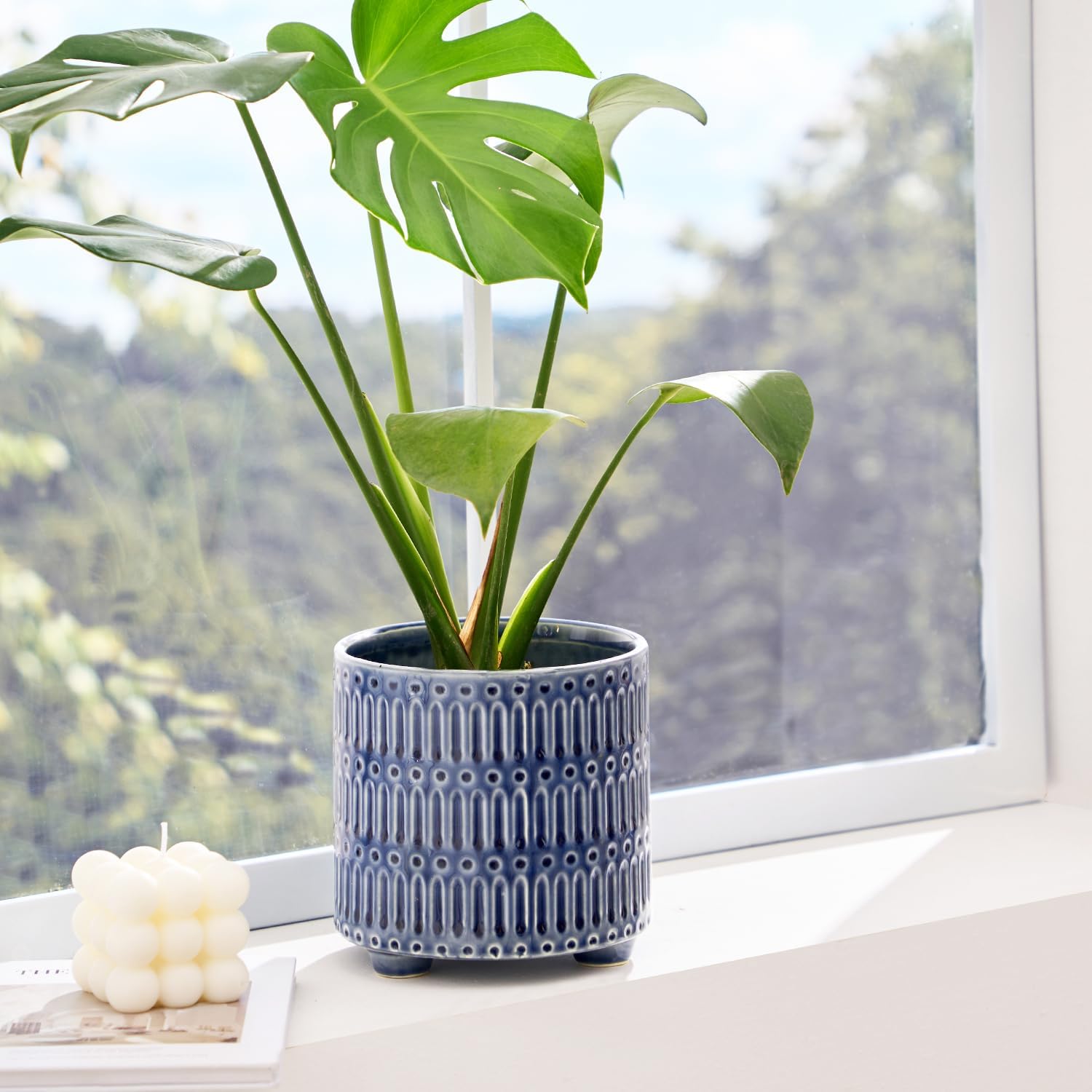 5 Inch Ceramic Planters for In - Snake Plant Ceramic recensione e prezzo