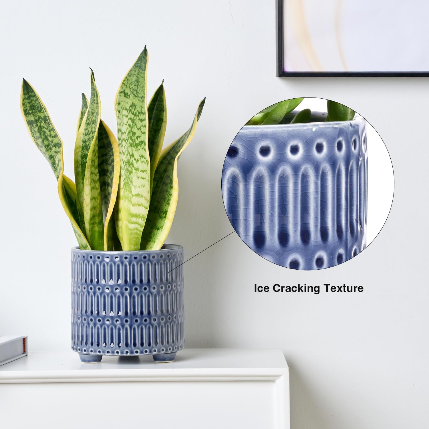 5 Inch Ceramic Planters for In - Snake Plant Ceramic recensione e prezzo