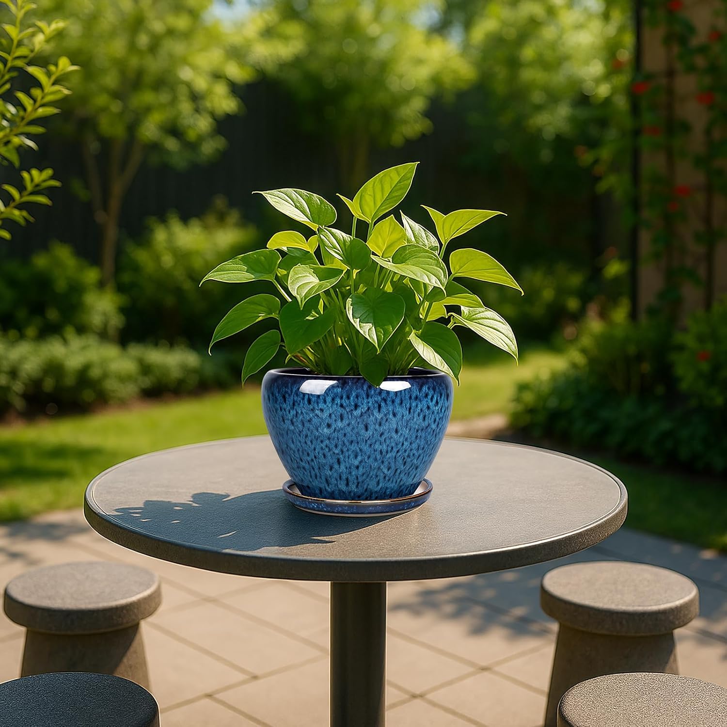 6 Inch Ceramic Plant Pot with  - Snake Plant Ceramic recensione e prezzo