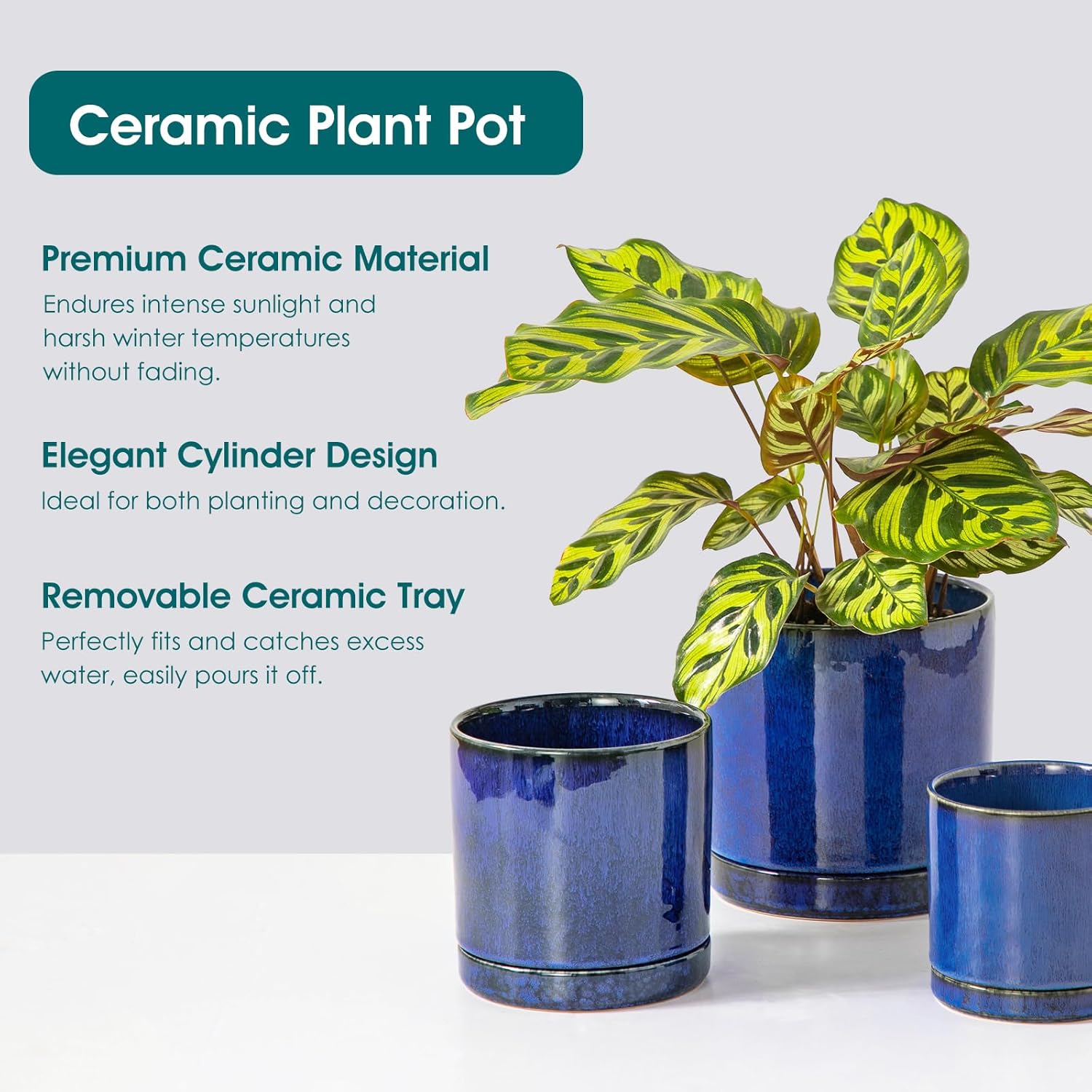3-Piece Ceramic Plant Pots wit - Snake Plant Ceramic recensione e prezzo
