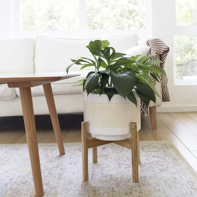 Large Ceramic Plant Pot with S - Snake Plant Ceramic recensione e prezzo