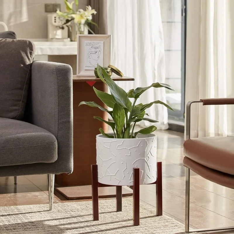 Large Ceramic Plant Pot with S - Snake Plant Ceramic recensione e prezzo