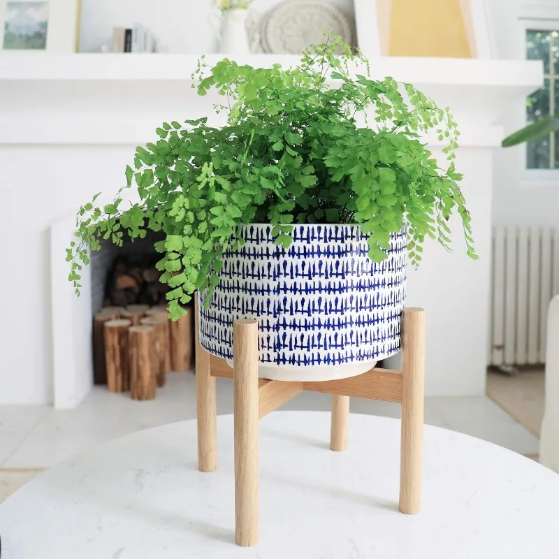 Large Ceramic Plant Pot with S - Snake Plant Ceramic recensione e prezzo