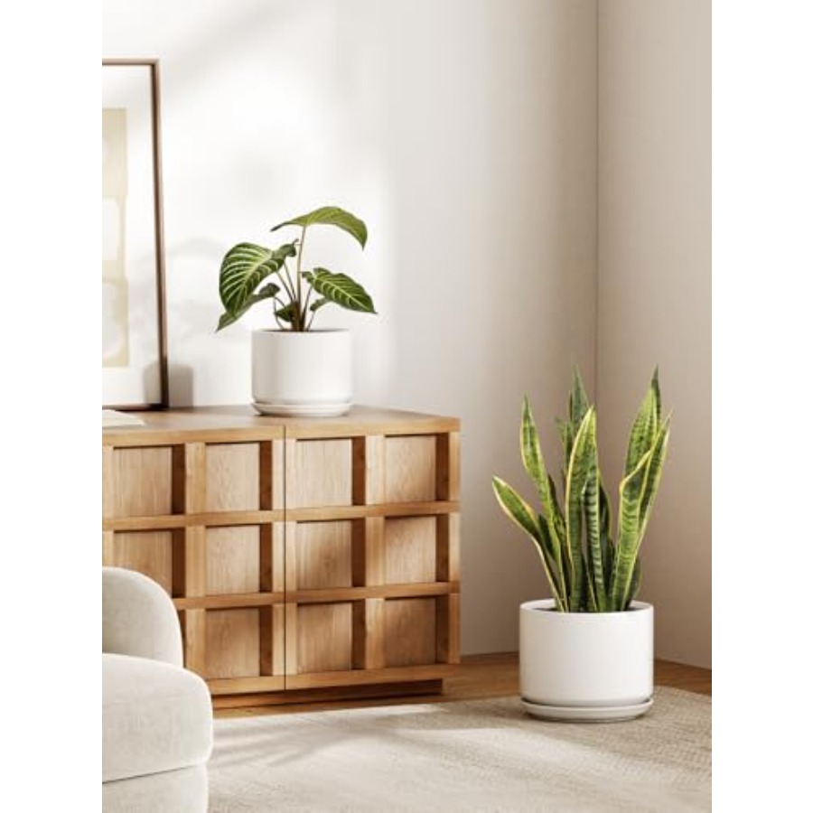 Ceramic Plant Pots Set of 2 8+ - Snake Plant Ceramic recensione e prezzo