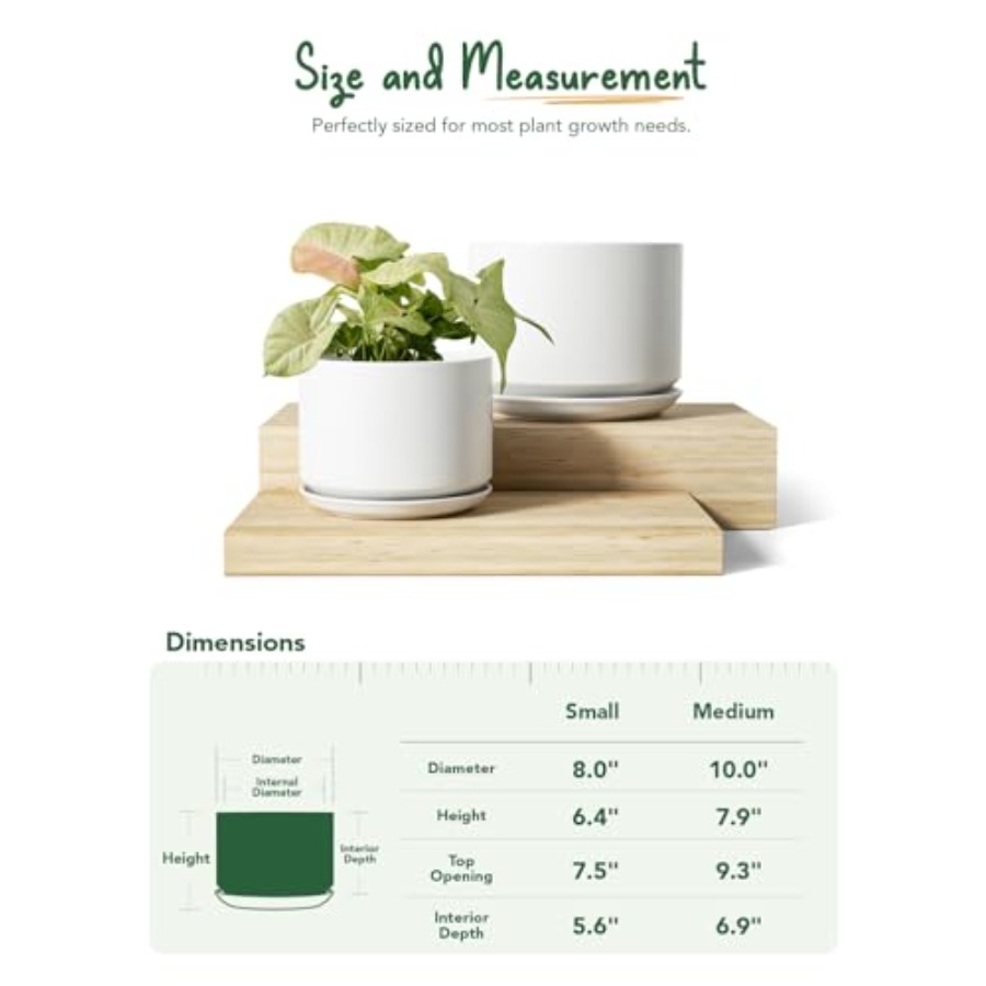 Ceramic Plant Pots Set of 2 8+ - Snake Plant Ceramic recensione e prezzo