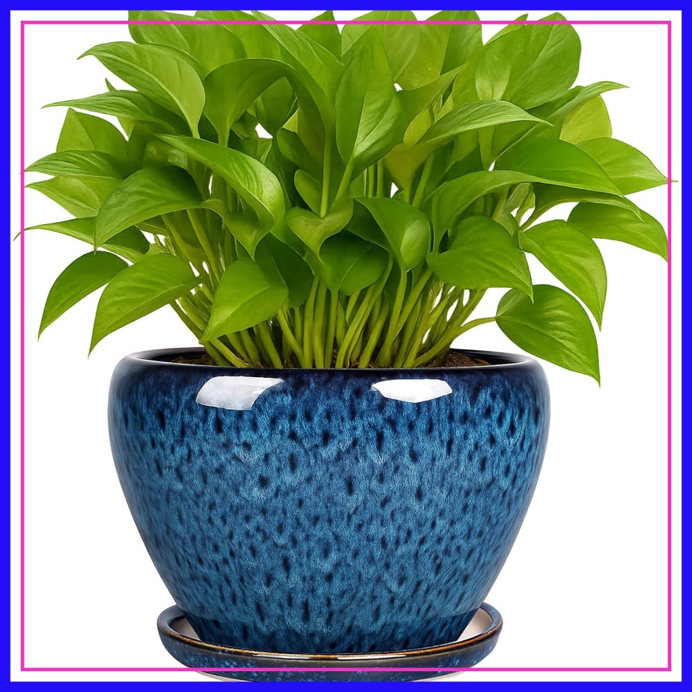 6 Inch Ceramic Plant Pot with  - Snake Plant Ceramic recensione e prezzo