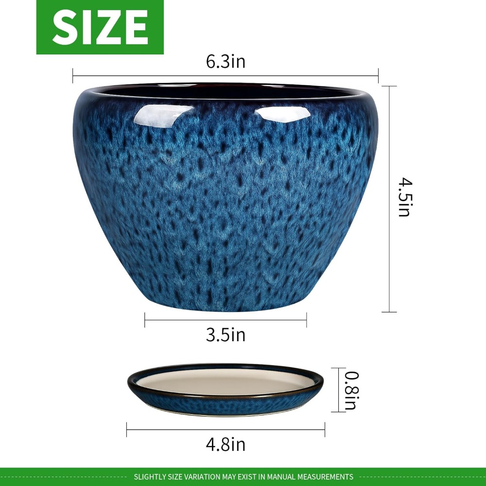 6 Inch Ceramic Plant Pot with  - Snake Plant Ceramic recensione e prezzo