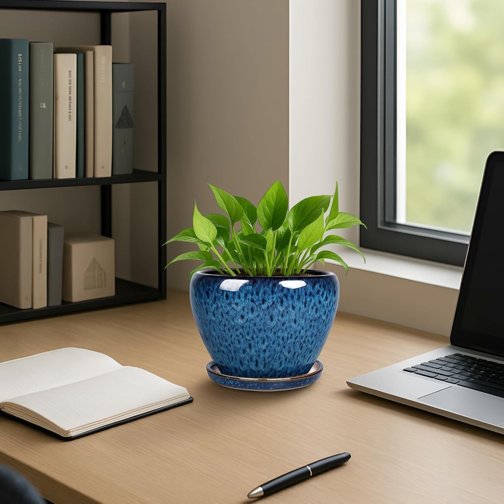 6 Inch Ceramic Plant Pot with  - Snake Plant Ceramic recensione e prezzo