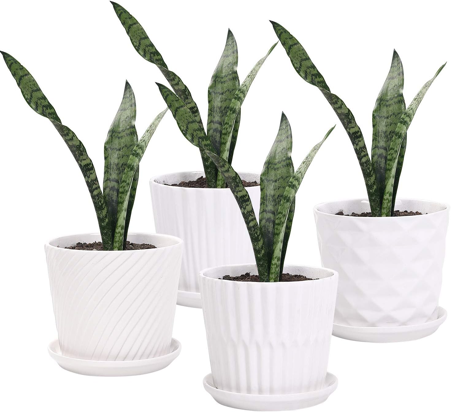 Plant Pots - 5.5 Inch Cylinder - Snake Plant Ceramic recensione e prezzo