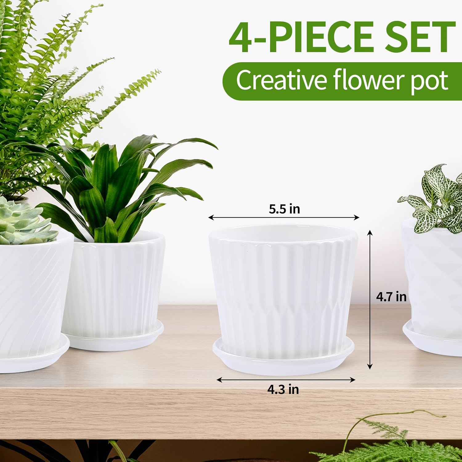 Plant Pots - 5.5 Inch Cylinder - Snake Plant Ceramic recensione e prezzo