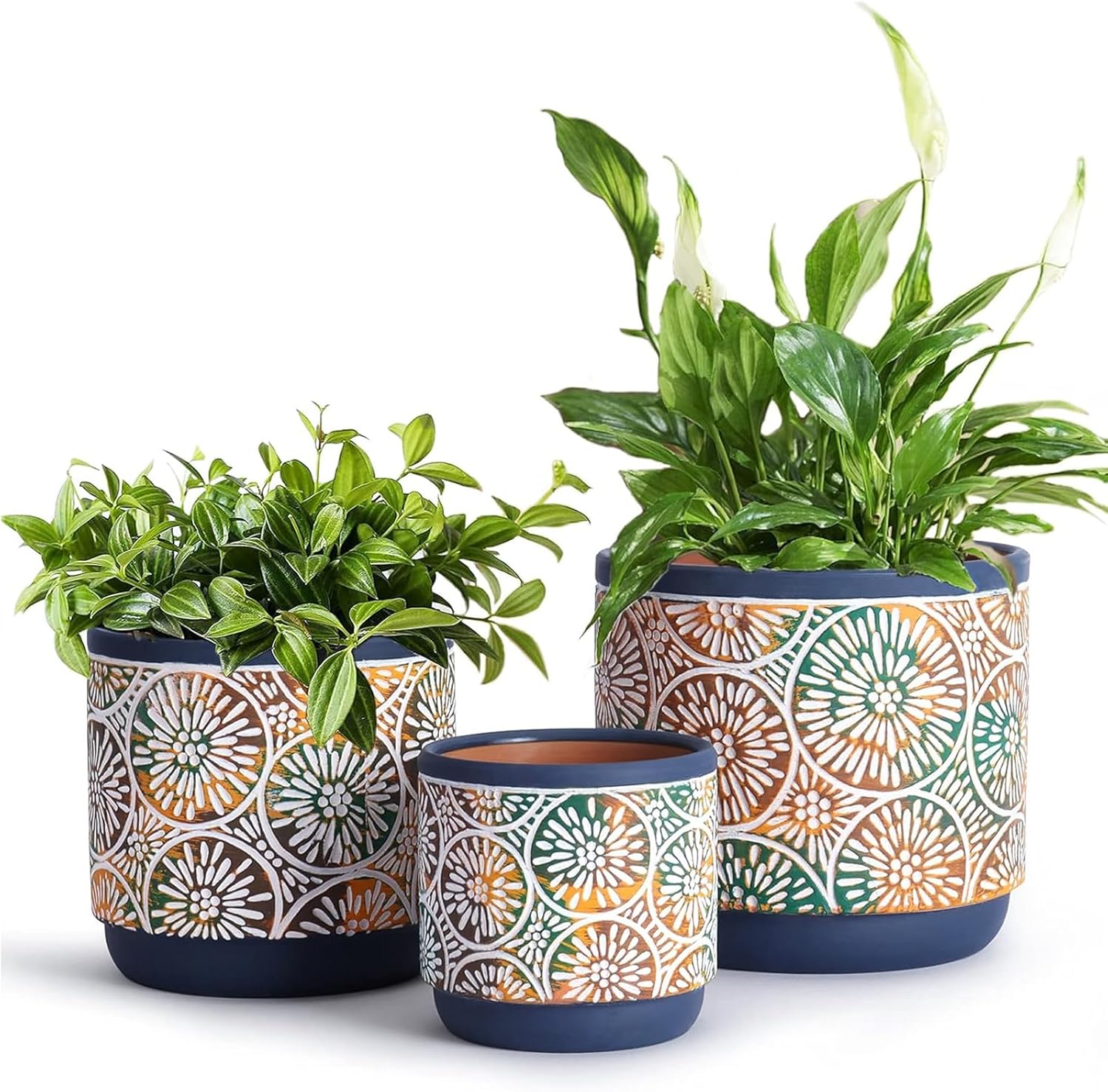 DeeCoo 3 Piece Ceramic Plant p - Snake Plant Ceramic recensione e prezzo