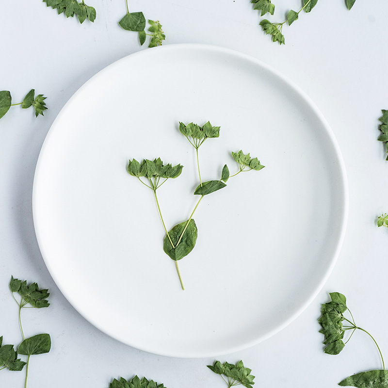 60Pcs Rabbit Ear Grass with Br - Plant Parent Sticker recensione e prezzo