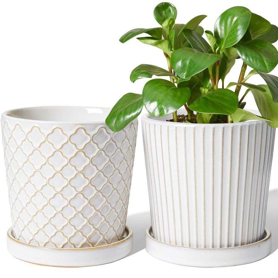 TAUCI Ceramic Pots for Plants, - Snake Plant Ceramic recensione e prezzo