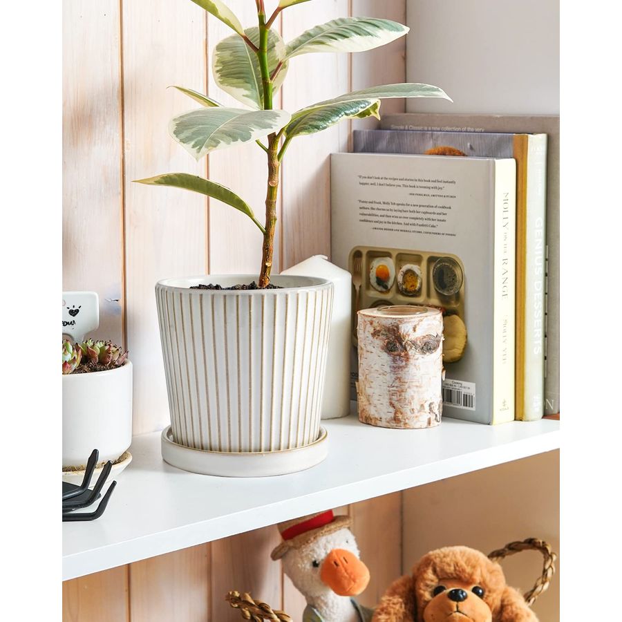 TAUCI Ceramic Pots for Plants, - Snake Plant Ceramic recensione e prezzo