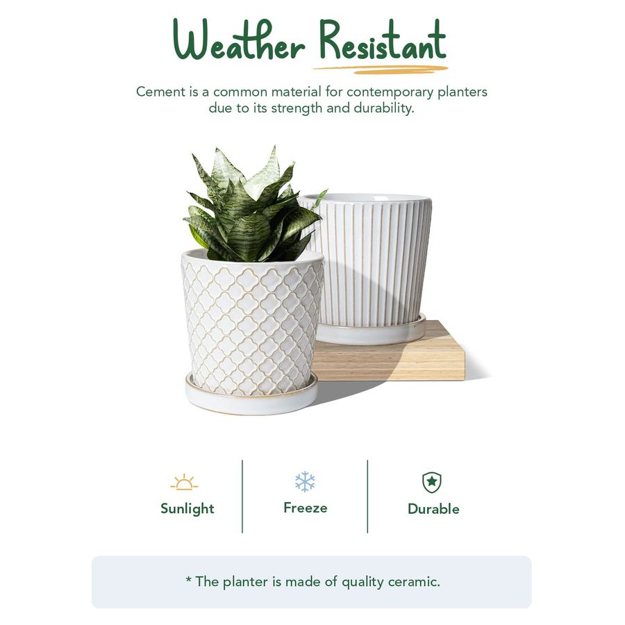 TAUCI Ceramic Pots for Plants, - Snake Plant Ceramic recensione e prezzo