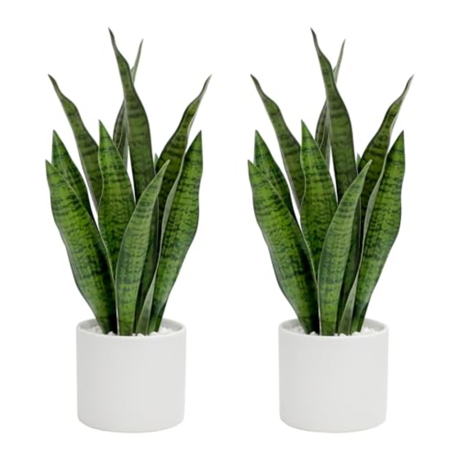 Artificial Snake Plant Set of  - Snake Plant Ceramic recensione e prezzo