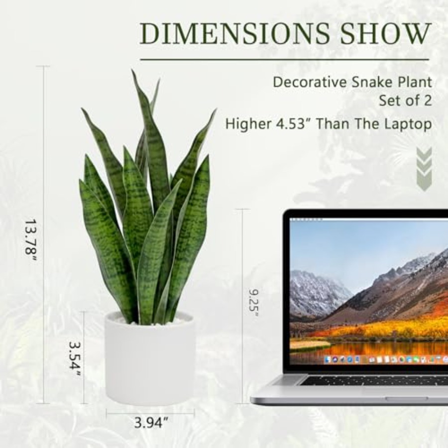 Artificial Snake Plant Set of  - Snake Plant Ceramic recensione e prezzo