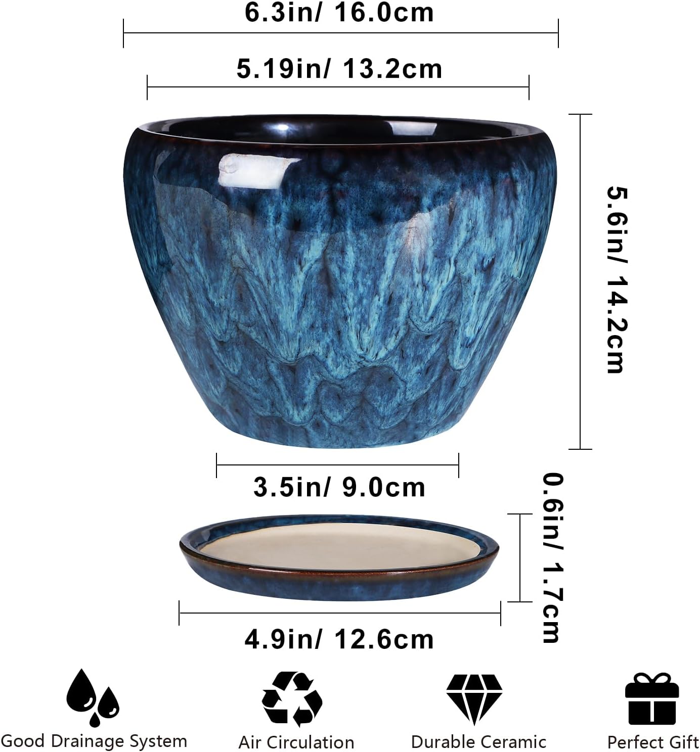 Ceramic Modern Glaze Succulent - Snake Plant Ceramic recensione e prezzo