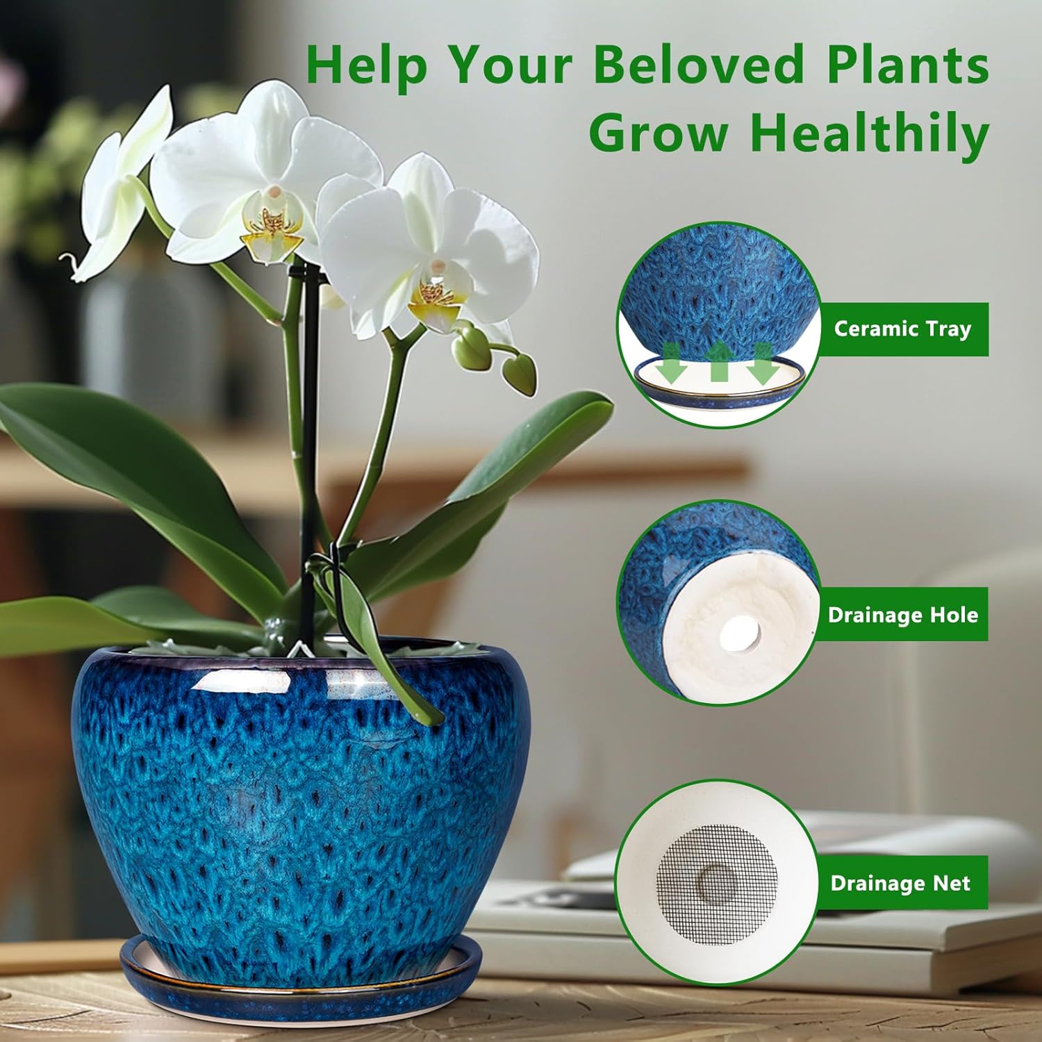 Ceramic Modern Glaze Succulent - Snake Plant Ceramic recensione e prezzo