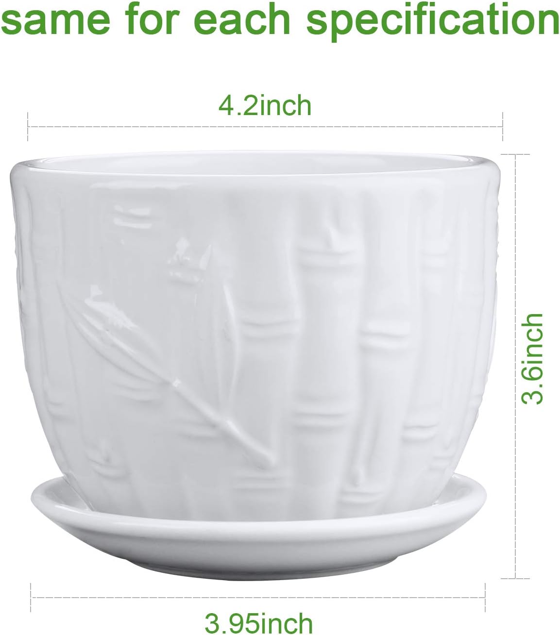 Flower Pots, 4 Inch Cylinder C - Snake Plant Ceramic recensione e prezzo