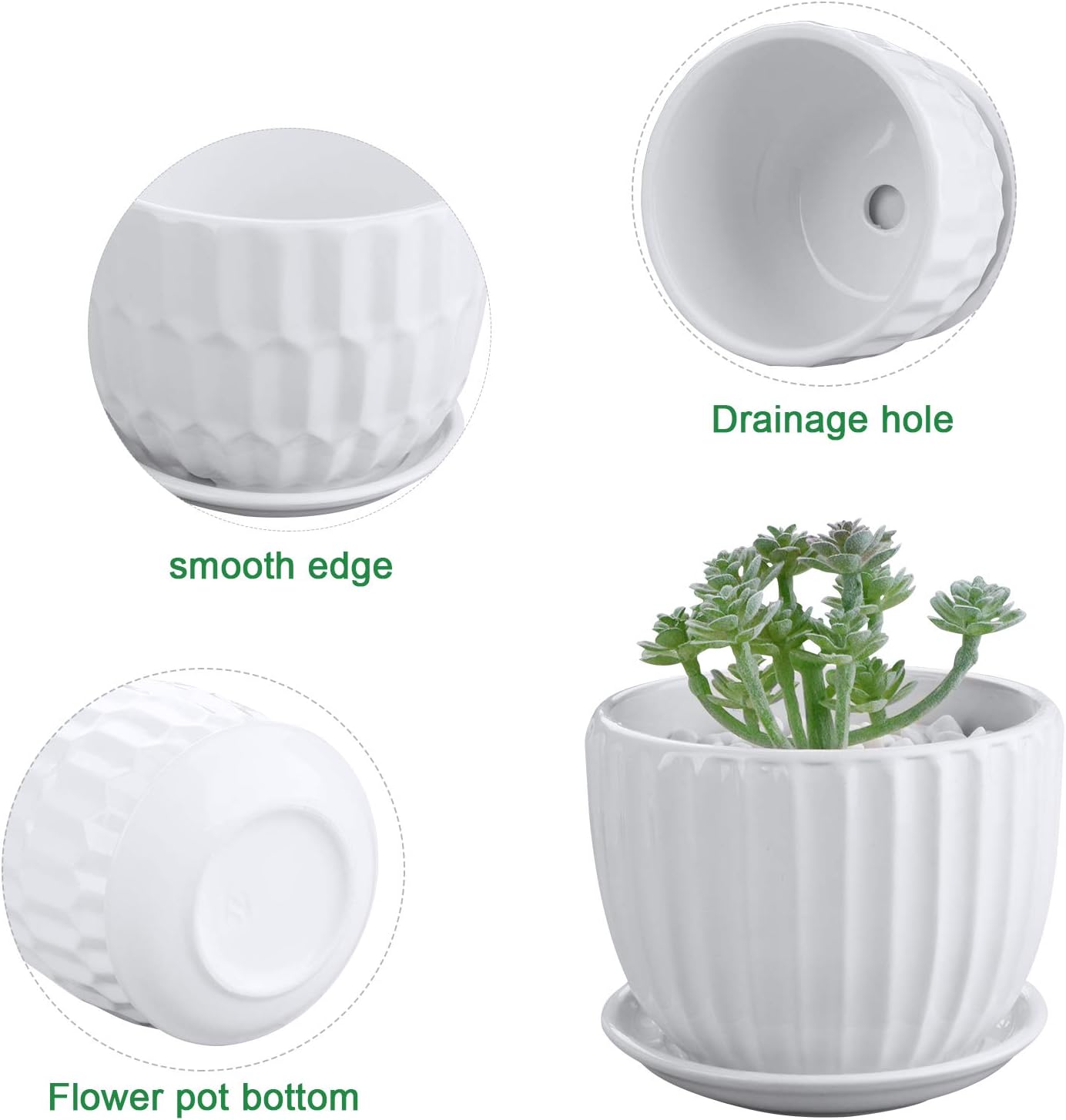 Flower Pots, 4 Inch Cylinder C - Snake Plant Ceramic recensione e prezzo