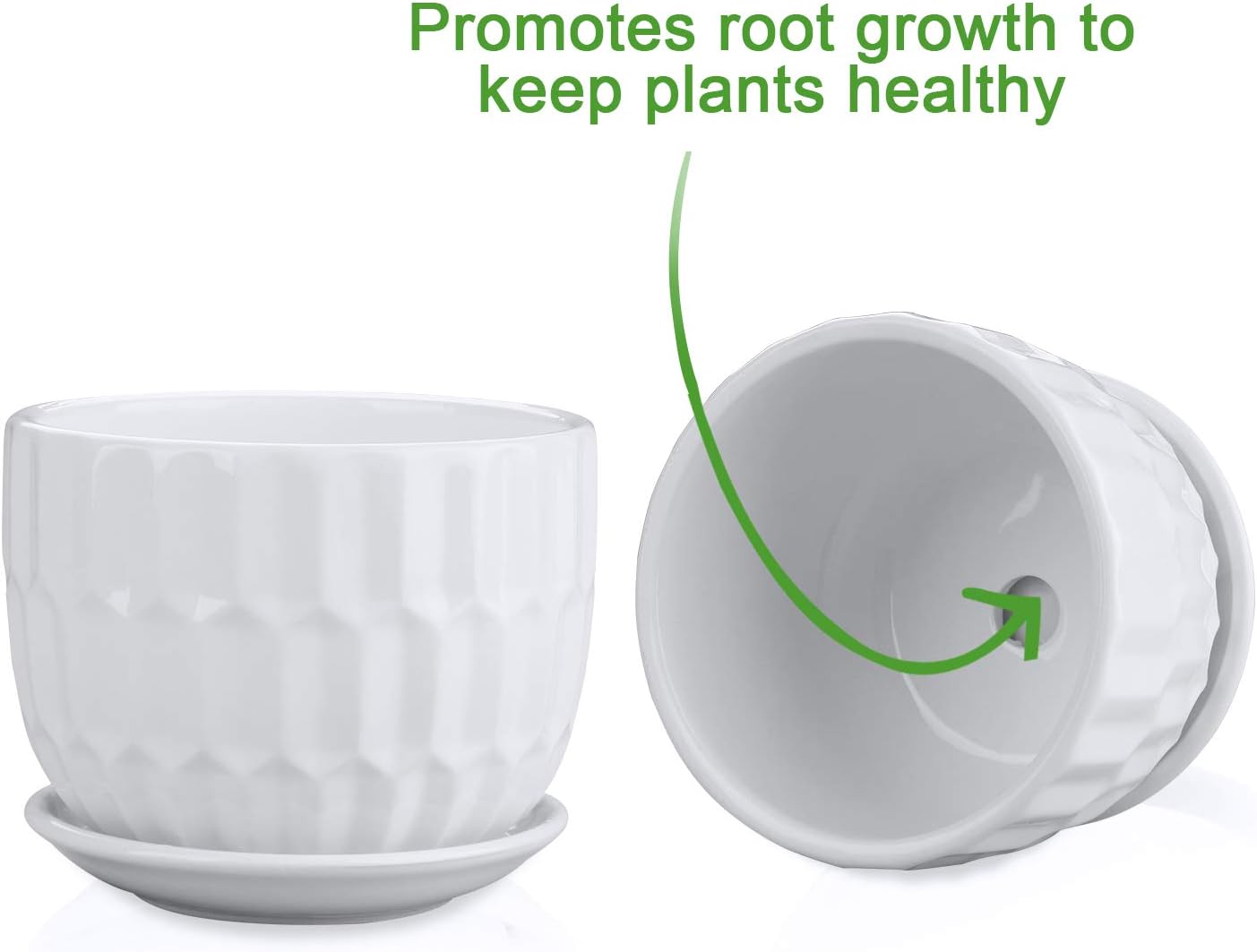 Flower Pots, 4 Inch Cylinder C - Snake Plant Ceramic recensione e prezzo